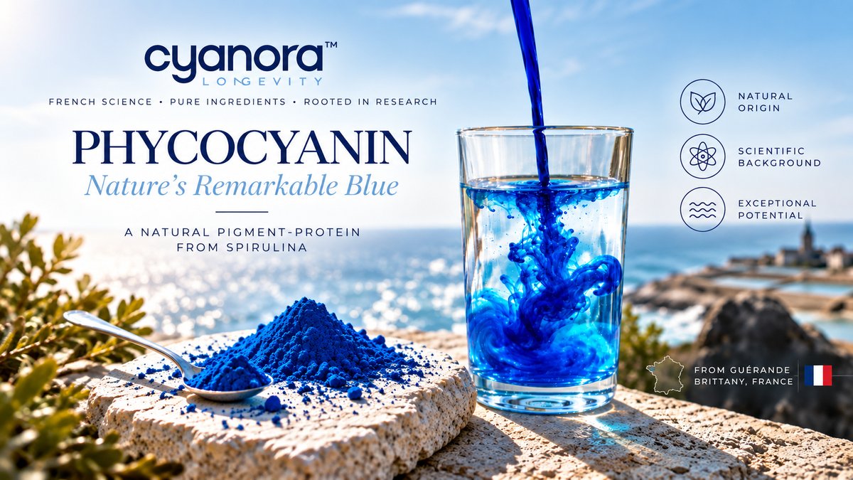 WHAT IS PHYCOCYANIN?